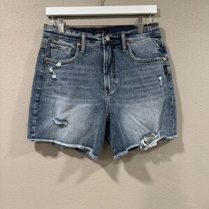 Silver 90’s Baggy Jean Shorts